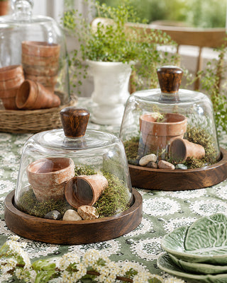Wood & Glass Cloche with Wooden Base, Choose Your Style
