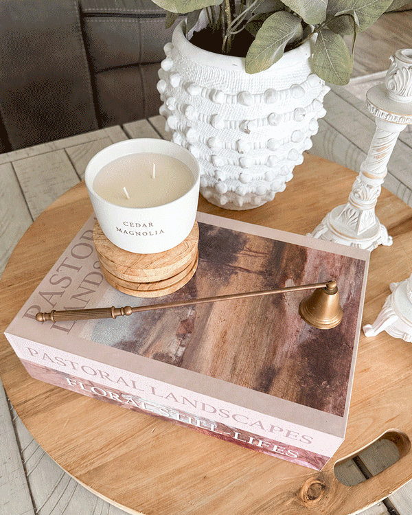 Book Cord Hideaway Decorative Cable Organizer