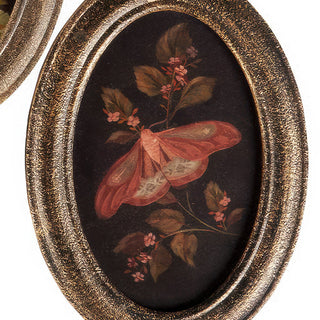 Oval vintage moth wall art with bronze frame