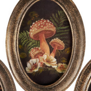 Oval mushroom botanical wall art with bronze frame