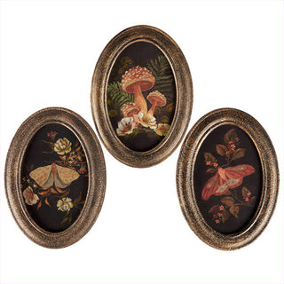 Set of three vintage botanical oval wall art prints