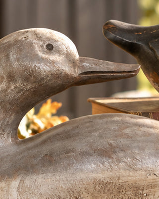 Countryside Sculpted Resin Mallard Decoys, Set of 2