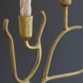 candle holders