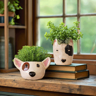 gif of dog decor