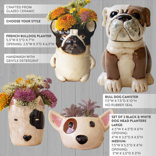 dimensions and description of the dog decor