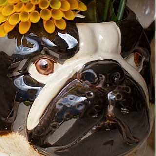 close up of dog decor