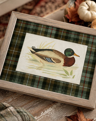 Vintage Framed Duck Art Print with Plaid Mat Barnwood Frame