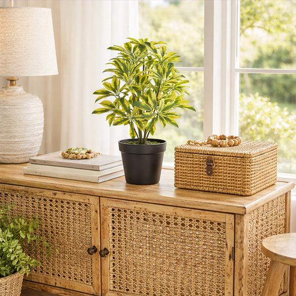 faux plant with pot 15 Inch Variegated Schefflera Faux Plant in Black Pot