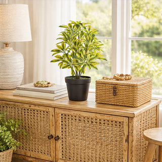 Faux schefflera plant in black pot home decor