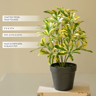 Artificial schefflera plant black pot modern decor
