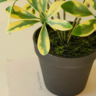 Faux plant black pot detail indoor decor accent