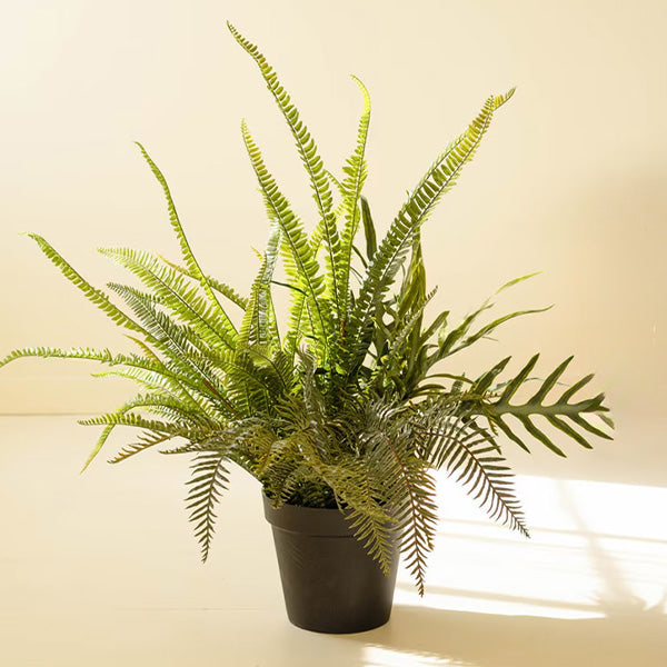 faux cascading potted plants Faux Fern Plant with Black Pot Cascading Fronds