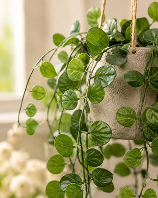29 Inch Hanging Faux Button Fern in Pot Indoor Greenery