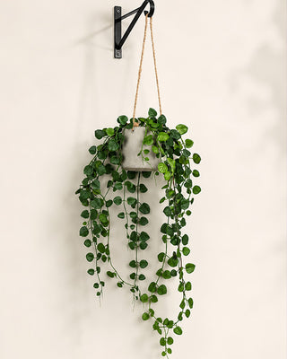 29 Inch Hanging Faux Button Fern in Pot Indoor Greenery