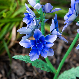 Outdoor Freestanding Metal Flowers, Set of Five