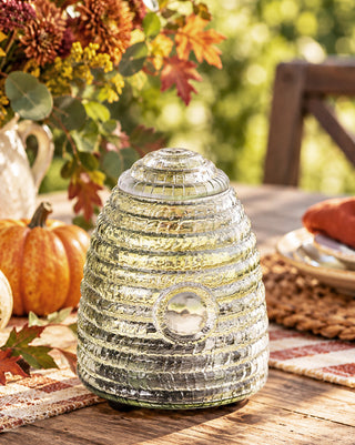 Pesky Insect Tabletop Trap
