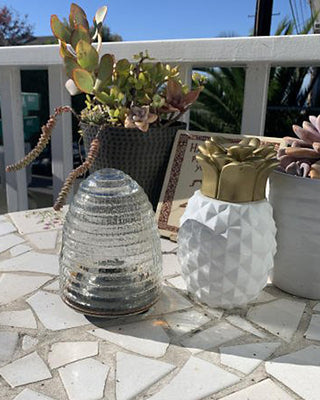 Pesky Insect Tabletop Trap