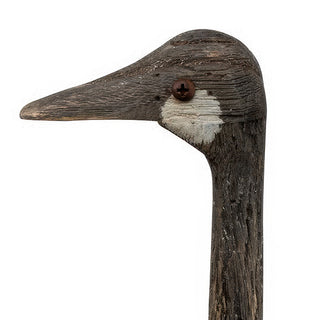 close up of goose face