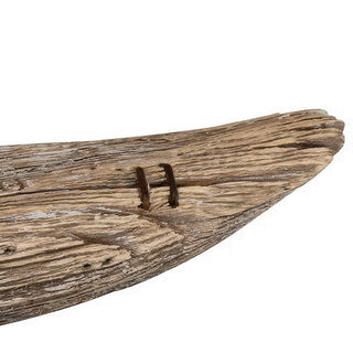 close up of goose tail