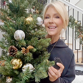 Pre-Lit LED Indoor/Outdoor Christmas Wreath, Garland and Two Trees | 4 Piece Set Battery Operated Timer