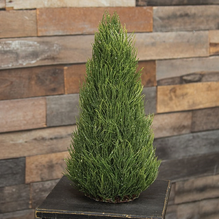 Glittered Long Needle Cone Tree 17 Inch Christmas Tabletop Decor