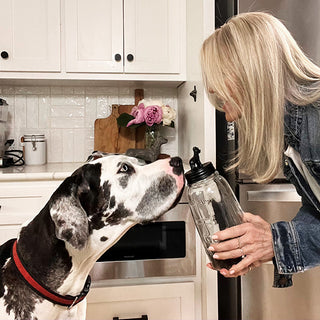 Woman offering glass dog treat jar in kitchen
