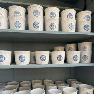 Shelves filled with antique Belgian stoneware pots featuring blue tree logo, farmhouse kitchen display of collectible pottery