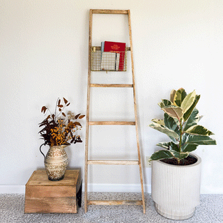 Rustic leaning ladder shelf