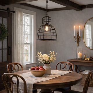 Vintage Wire Cage Pendant Light