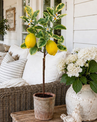 25-Inch Faux Lemon Tree in Decorative Pot with Blossoms