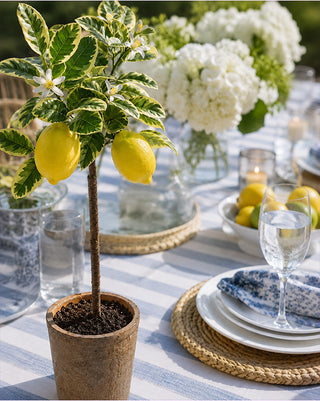 25-Inch Faux Lemon Tree in Decorative Pot with Blossoms