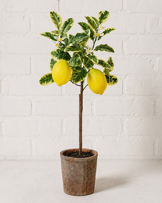 25-Inch Faux Lemon Tree in Decorative Pot with Blossoms