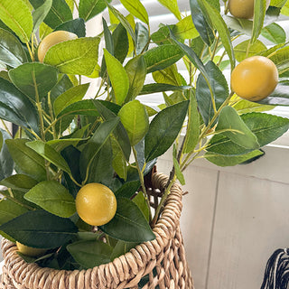 Artificial lemon fruit and leaves close-up detail