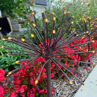 Starburst Pathway Lights, Set of 3