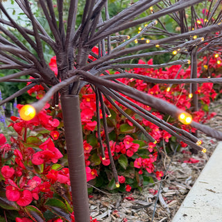 Starburst Pathway Lights, Set of 3