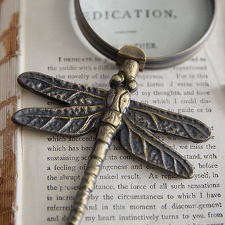 Dragonfly Magnifying Glass Zoom