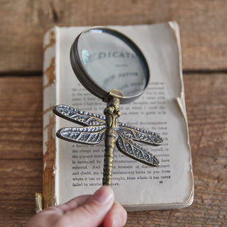 Dragonfly Magnifying Glass Zoom2