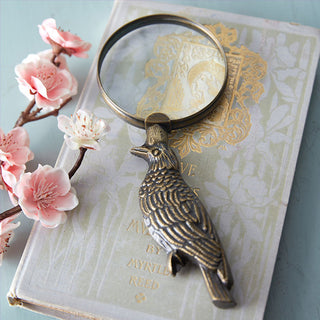 Close up detailed raven bird handle magnifying glass antique brass sculptural desk piece