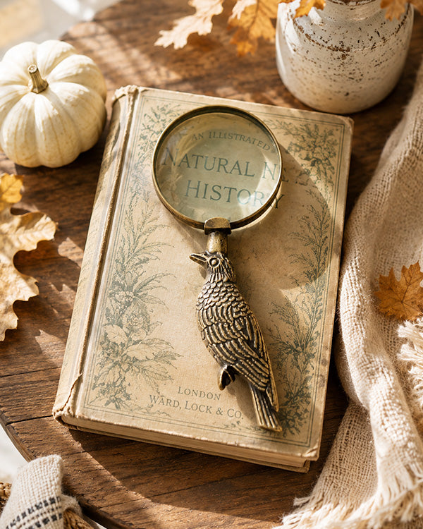 Antique Brass Finish Raven Bird Magnifying Glass