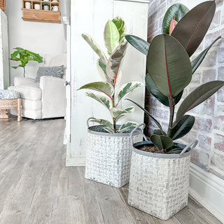 Close-up white galvanized metal planter texture