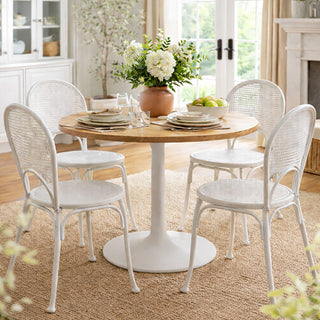 Vintage-Inspired Distressed White Side Dining Chair, Set of Two