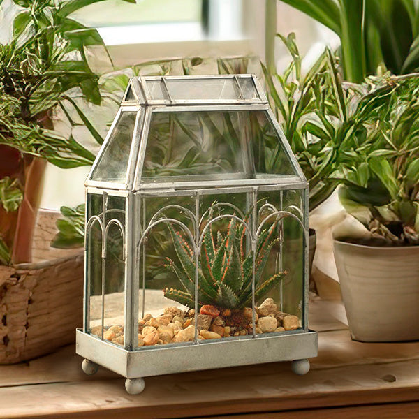 glass terrarium tabletop planter Tabletop Glass Terrarium