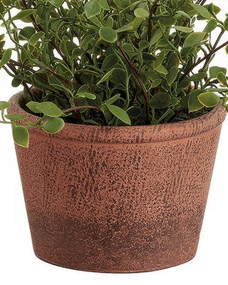 Artificial muehlenbeckia displayed on side table in farmhouse living room