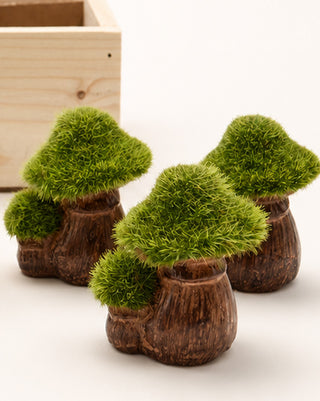  Distressed faux moss mushroom shelf decor accent set