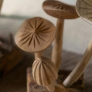 Natural wood grain detail on hand-carved teak mushroom sculpture with multiple caps and stems