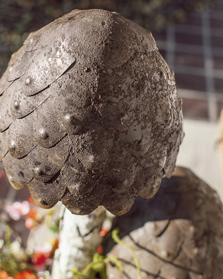 Weathered metal mushroom cap detail