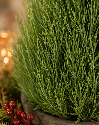 Glittered Long Needle Cone Tree 17 Inch Christmas Tabletop Decor