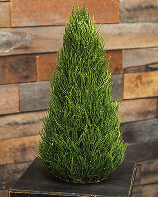 Glittered Long Needle Cone Tree 17 Inch Christmas Tabletop Decor