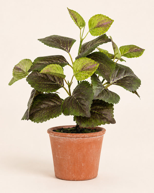 potted fake plant Realistic Potted Perilla Artificial Plant 9 Inches Tall