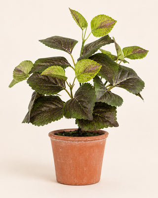 Realistic Potted Perilla Artificial Plant 9 Inches Tall